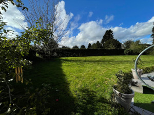 Photo de galerie - Taille-haies