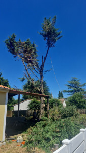 Photo de galerie - Démontage 