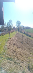 Photo de galerie - Débroussaillage forestier d'un talus de 5000m2 à 70% de pente 