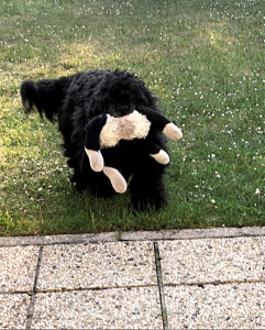 Photo de galerie - Jo et son doudou en peluche