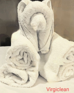 Photo de galerie - Préparation - nettoyage de salle