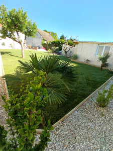 Photo de galerie - S.N.E paysagiste 