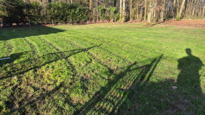 Photo de galerie - Ramassage de feuilles 