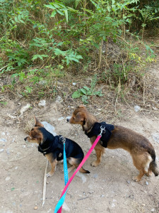 Photo de galerie - Petite ballade ...