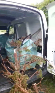 Photo de galerie - Véhicule pratique pour les transports, déménagements...