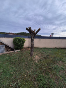 Photo de galerie - Après 