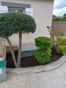 Photo de galerie - Nettoyage et entretien massif 