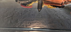 Photo de galerie - Spontex disparu 