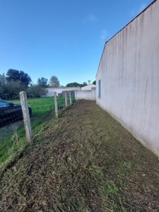 Photo de galerie - Tonte de pelouse - Débroussaillage