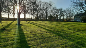 Photo de galerie - Entretien parc