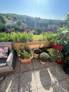 Photo de galerie - Nettoyage de pots et jardinières ?