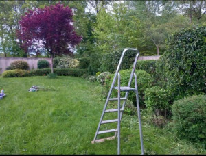 Photo de galerie - Jardinier