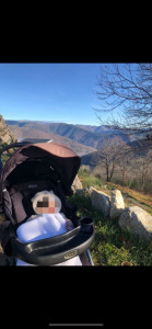 Photo de galerie - Promenade