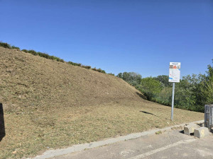 Photo de galerie - Tonte de pelouse - Débroussaillage