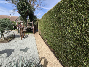 Photo de galerie - Taille de haie