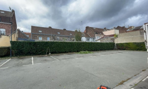 Photo de galerie - Taille de haies et d'arbustes