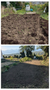 Photo de galerie - Préparation d'un potager 