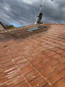 Photo de galerie - Nettoyage, traitement anti mousse d’Alep, 2100