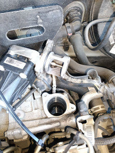 Photo de galerie - Changement vanne EGR 