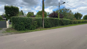 Photo de galerie - Taille de haies et d'arbustes