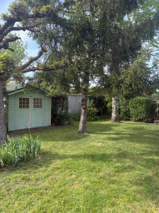 Photo de galerie - Débroussaillage, Entretien jardin, tonte pelouse, taille de haie. 