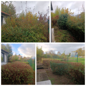 Photo de galerie - Taille de haies et d'arbustes