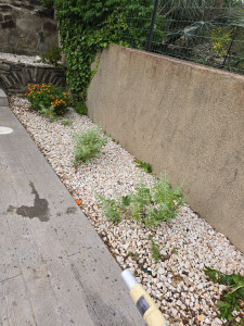 Photo de galerie - Mise en place toile et gravier et plantation 