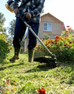 Photo de galerie - Tonte de pelouse - Débroussaillage