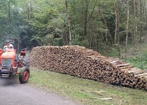 Photo de galerie - Façonnage de bois de chauffage