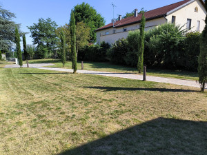 Photo de galerie - Tonte de pelouse - Débroussaillage