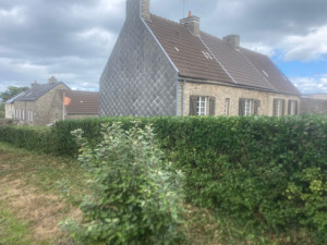 Photo de galerie - Taille de haies