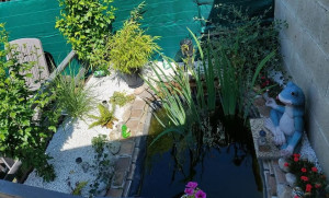 Photo de galerie - Bassin à poisson fait de mes mains 