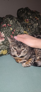 Photo de galerie - Petsitter