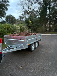 Photo de galerie - Taille de haies et d'arbustes