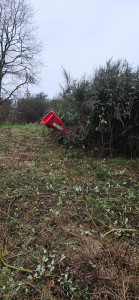 Photo de galerie - Gros débroussaillage sur environ 1600 mètres carrés de terrain avec broyage de grosses branches