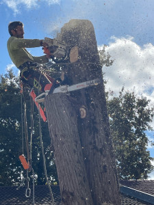 Photo de galerie - Débitage d’un tronc par tronçon.