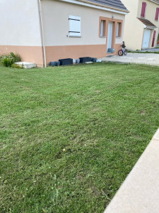 Photo de galerie - Tonte de pelouse - Débroussaillage