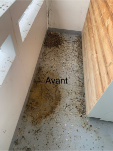 Photo de galerie - Balcon nettoyer 