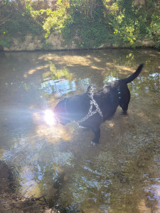 Photo de galerie - Pension familiale 