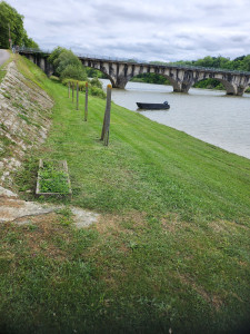 Photo de galerie - Tonte de pelouse - Débroussaillage