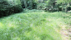 Photo de galerie - Avant 