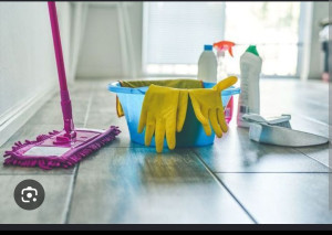 Photo de galerie - Aide ménagère 