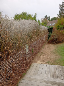 Photo de galerie - Jardinier