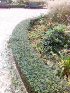 Photo de galerie - Avant 