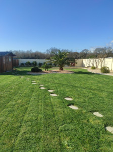 Photo de galerie - Entretien d'un gazon ( tonte + débroussaillage 