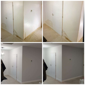 Photo de galerie - Peinture - Tapisserie