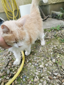 Photo de galerie - Garde animaux