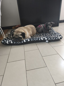 Photo de galerie - Tobbie max