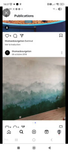 Photo de galerie - Enduisage mur , ponçage, impression et pose d'un papier panoramique 