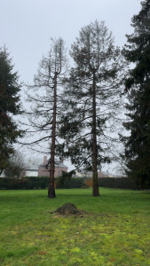 Photo de galerie - Avant 